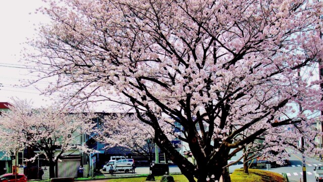 元郷第三公園