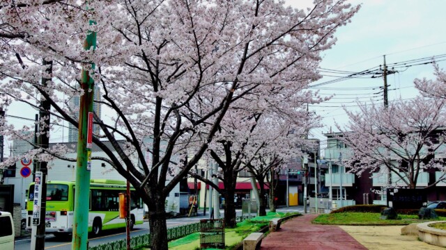 元郷第三公園